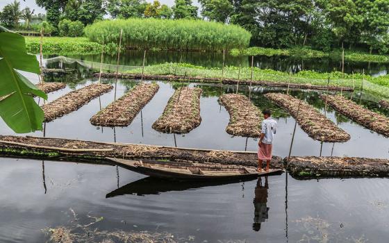 Farmers are making floating gardens in waterlogged coastal areas in Bangladesh. (Stephan Uttom Rozario)